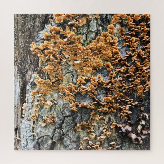 boomschimmel legpuzzel (Verticaal)