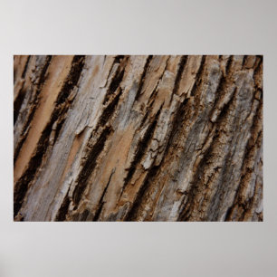 Boomschors I Natuurlijk Abstract Getextureerd Ontw Poster