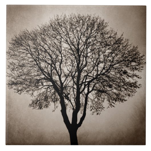 Boomsilhouet ontwerp 205 tegeltje (Voorkant)