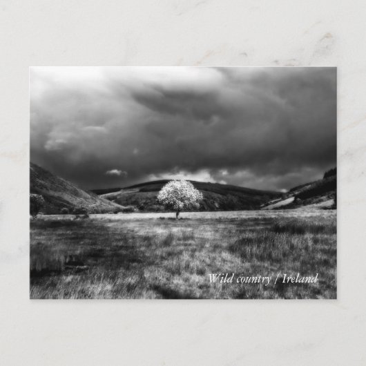 Boomsoorten op het platteland briefkaart (Voorkant)