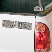 boomstam bumpersticker (Op Truck)