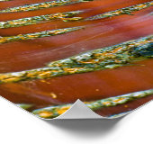 Boomstam Poster (Hoek)