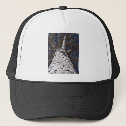 boomstam trucker pet (Voorkant)