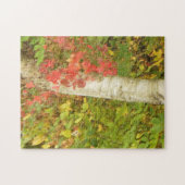 boomstamboom legpuzzel (Horizontaal)