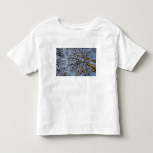 Boomstamontwerp/patroon. Pioineer Park, WA Kinder Shirts