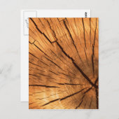 boomstamringen briefkaart (Voorkant / Achterkant)