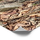Boomstronk in het bos Poster (Hoek)