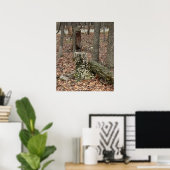 Boomstronk in het bos Poster (Thuiskantoor)