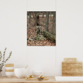 Boomstronk in het bos Poster (Keuken)