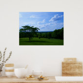 Boomstructuur in het Poster van het Gebied & van h (Keuken)