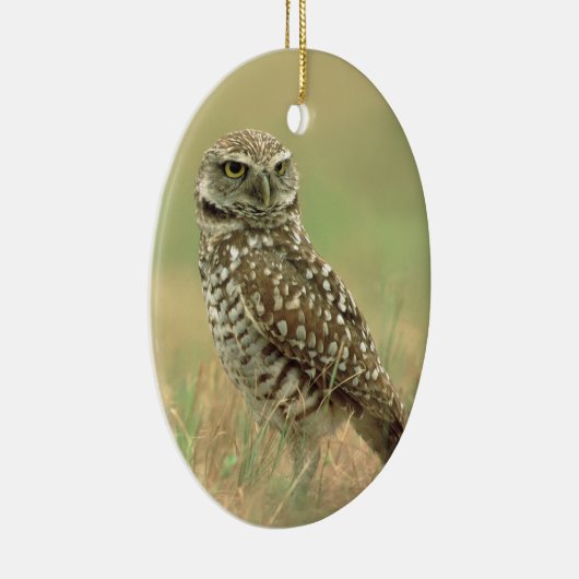 Boomstruik Keramisch Ornament (Rechts)