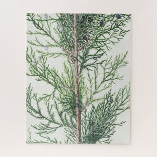 Boomtakken zijn onmogelijk legpuzzel