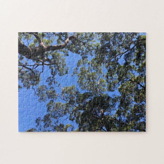 boomtoppen legpuzzel (Horizontaal)