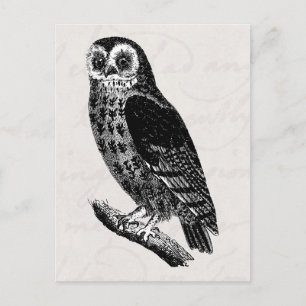  boomtrekvogels eigenaar briefkaart