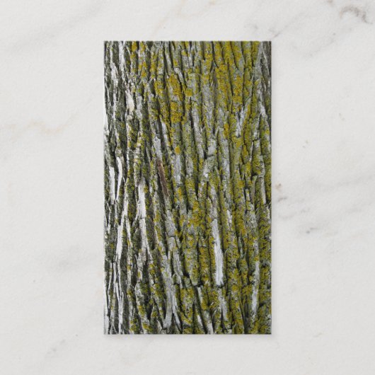 Boomtrimmers, landschapspompverwijdering visitekaartje (Voorkant)