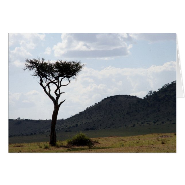 boomuitzicht (Voorkant Horizontaal)