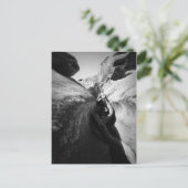 Boomwortel in Crevice Briefkaart (Staand voorkant)