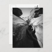 Boomwortel in Crevice Briefkaart (Voorkant / Achterkant)