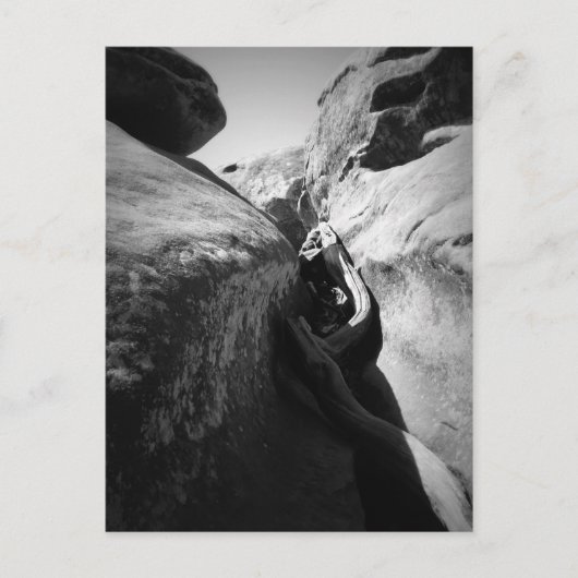 Boomwortel in Crevice Briefkaart (Voorkant)