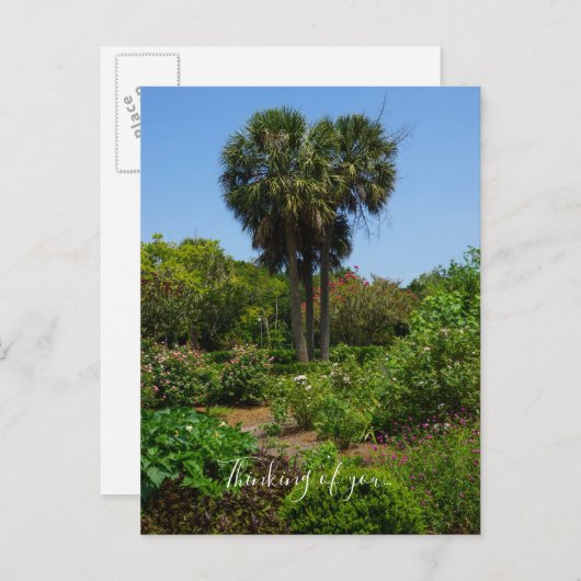 Boone Hall Garden denkend aan je Briefkaart (Voorkant / Achterkant)