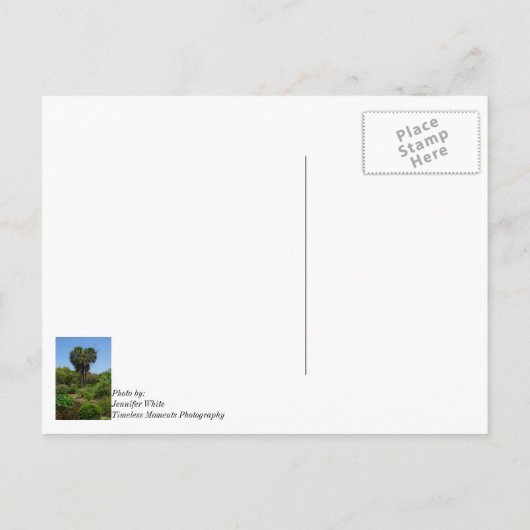 Boone Hall Garden denkend aan je Briefkaart (Achterkant)