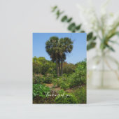 Boone Hall Garden Penser À Vous Carte Postale (Debout devant)