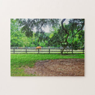 Boone Hall Stables Legpuzzel