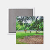 Boone Hall Stables Magneet (Voorkant / Achterkant)