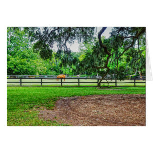 Boone Hall Stables Wenskaart