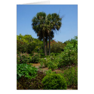Boone Hall Tuin