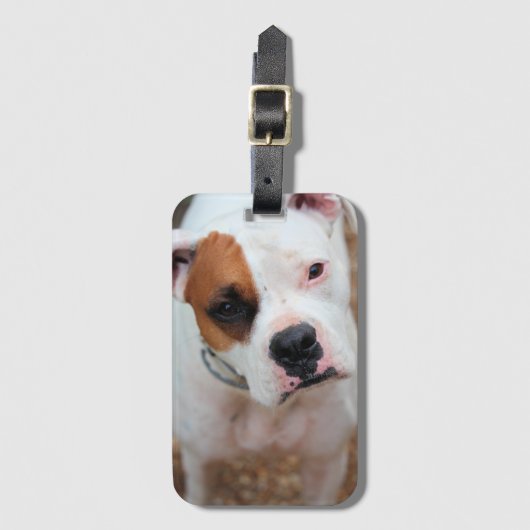 Boop Bagagelabel (Voorkant (verticaal))