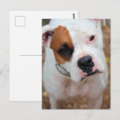 Boop Briefkaart (Voorkant / Achterkant)