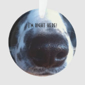 Boop My Nose Border Collie Heeler Rescue Photo Ornament (voorkant)