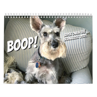 Boop! Super Owen de Schnauzer 2021-kalender Kalender
