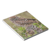 Boorboei, Athene cunicularia, Kaapkoraal; Notitieblok (Schuin)