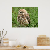 Boorende boomkor #1 poster (Keuken)