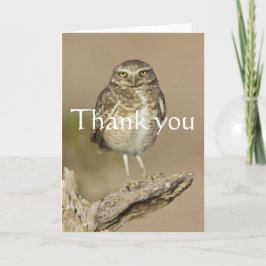 Boorende boomkor op een Cholla Rib Bedankkaart