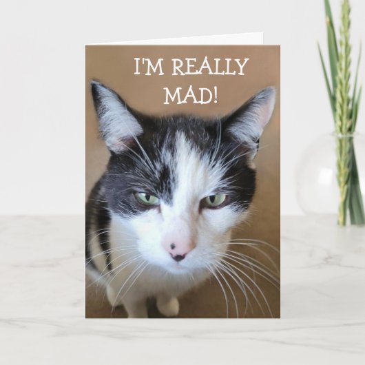 Boos op kanker kat kaart (Voorkant)