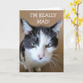 Boos op kanker kat kaart (Gele Bloem)