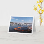 Boot haven in Paphos, Cyprus Kaart (Gele Bloem)