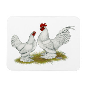 Booted Bantams Magneet