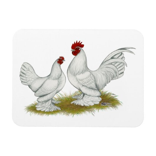 Booted Bantams Magneet (Horizontaal)