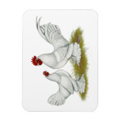 Booted Bantams Magneet (Verticaal)