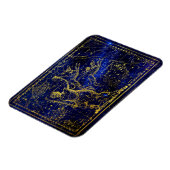 bootes constellation magnet magneet (Linkerzijde)