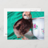 Boots Briefkaart (Voorkant / Achterkant)