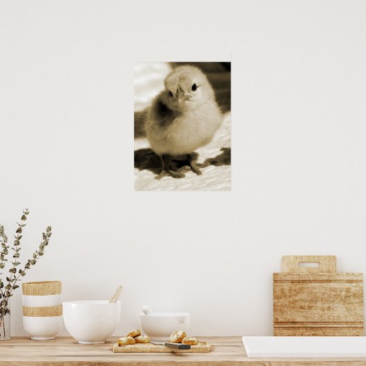 Boot's Chick Poster (Keuken)