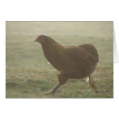 Boots in de mist (Voorkant Horizontaal)