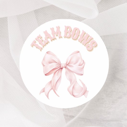 Boots of Bows Gender Reveal Stemmen Stickers