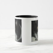 Bootzie Mok (Midden)