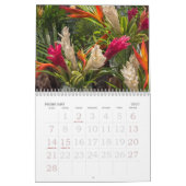Bora Bora | Polynésie française | Calendrier tahit (Feb 2027)